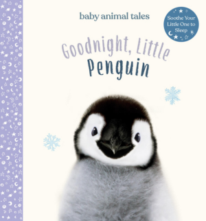 Baby Animal Tales: Goodnight, Little Penguin