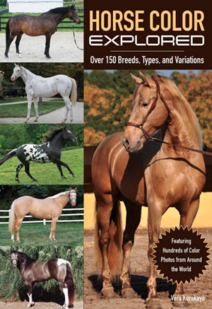Horse Color Explored: Over 150 Breeds, Types, and Variations