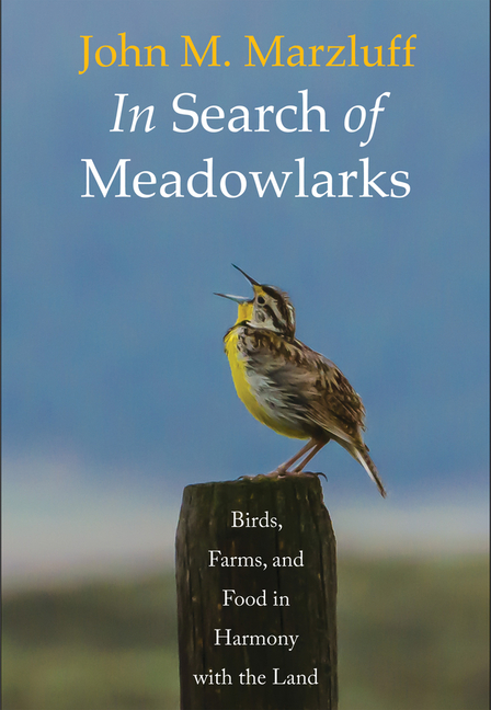 In Search of Meadowlarks : Birds, Farms, and Food in Harmony With
