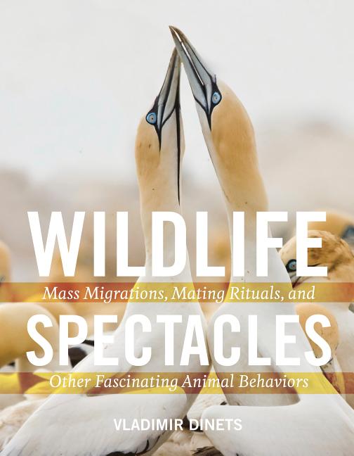 Wildlife Spectacles : Mass Migrations, Mating Rituals, and Other F