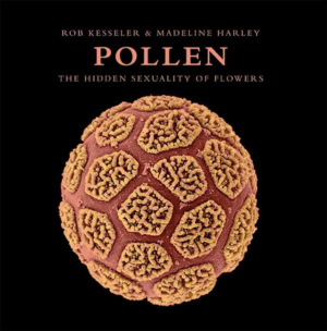 Pollen: Hidden Sexuality of Flowers