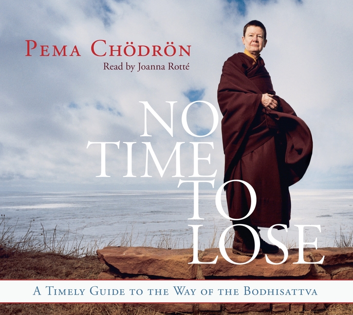 No Time to Lose : A Timely Guide to the Way of the Bodhisattva