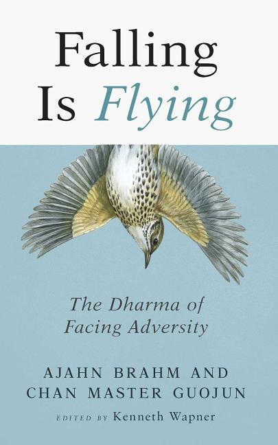 Falling Is Flying, 1: Dharma of Facing Adversity