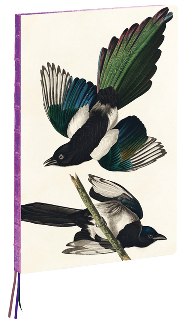 A4 Notebook: Magpies by James Audubon, Hardcover - 230 Dot-Grid Pa