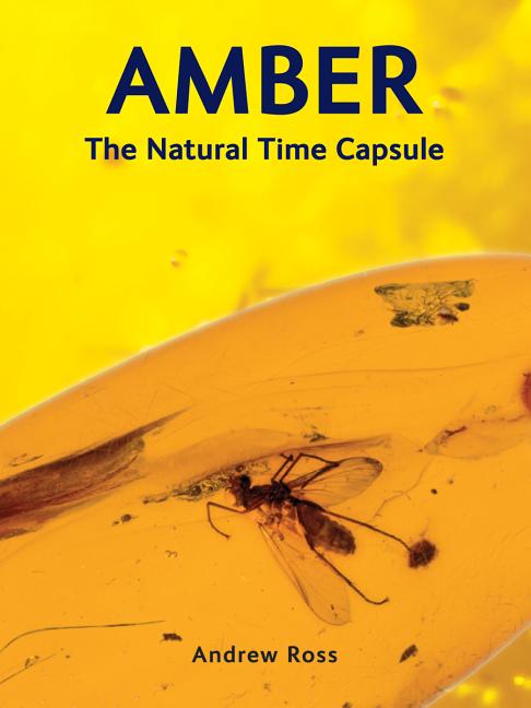 Amber : Natural Time Capsule