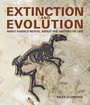 Extinction and Evolution: What Fossils Reveal about the History of