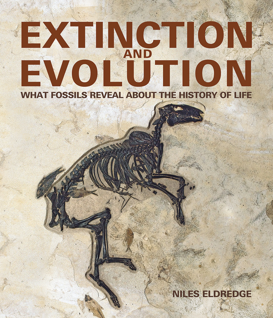 Extinction and Evolution: What Fossils Reveal about the History of
