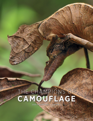 Champions of Camouflage