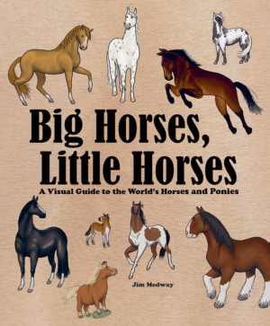 Big Horses, Little Horses: A Visual Guide to the World's Horses an