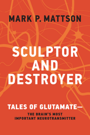 Sculptor and Destroyer: Tales of Glutamatethe Brain's Most Importa
