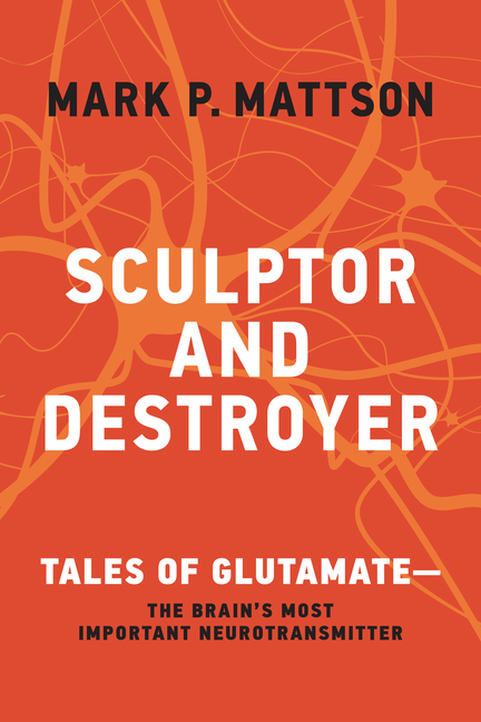 Sculptor and Destroyer: Tales of Glutamatethe Brain's Most Importa