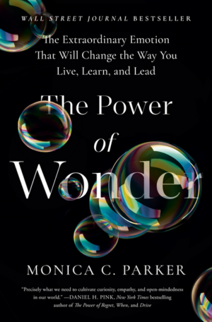 Power of Wonder: The Extraordinary Emotion That Will Change the Wa