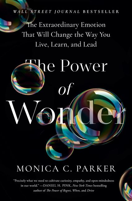 Power of Wonder: The Extraordinary Emotion That Will Change the Wa