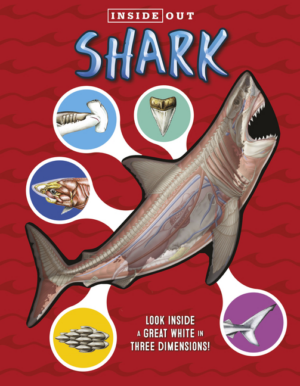 Inside Out Shark: "Fair" Condition
