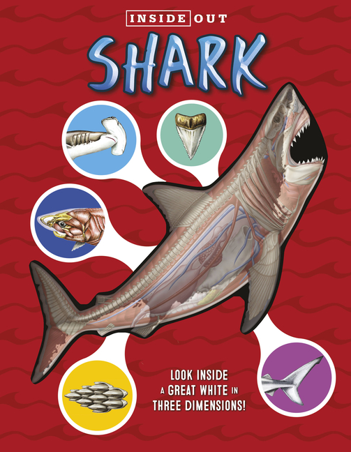 Inside Out Shark: "Fair" Condition