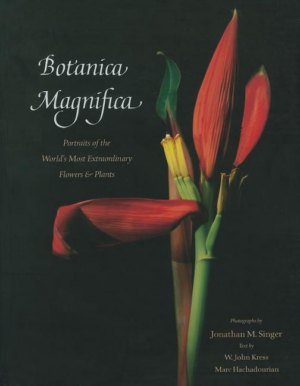 Botanica Magnifica: Portraits of the World's Most Extraordinary Fl