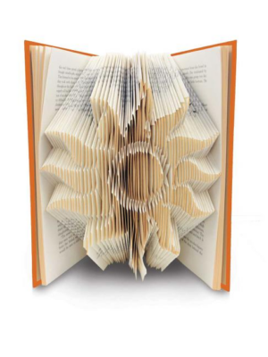 Artfolds Classic Edition:  Sun : Treasure Island & Other Adventure