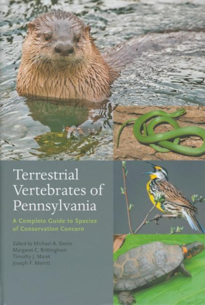 Terrestrial Vertebrates of Pennsylvania : Complete Guide to Specie