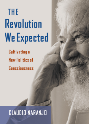 Revolution We Expected: Cultivating a New Politics of Consciousnes