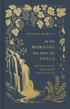 In the Morning You Hear My Voice: 365 Poetic Prayers Reflecting th