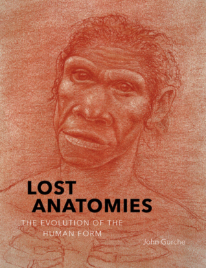 Lost Anatomies:Evolution of the Human Form