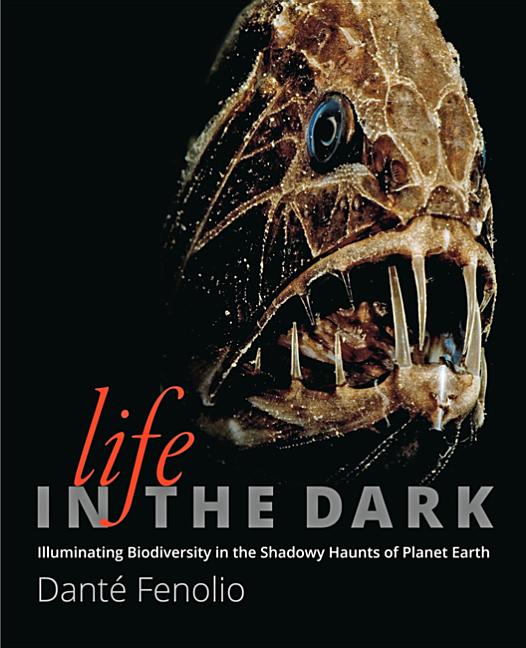 Life in the Dark: Illuminating Biodiversity in the Shadowy Haunts