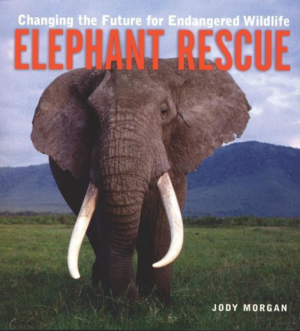Elephant Rescue: Changing The Future For Endangered Wildlife (fire
