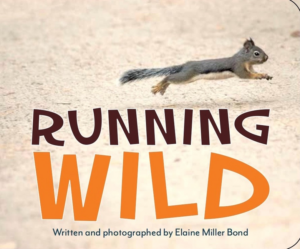 Running Wild