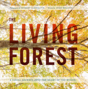 Living Forest : An Eye-opening Journey From The Canopy To The Wood