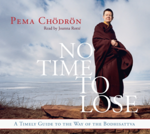 No Time to Lose : A Timely Guide to the Way of the Bodhisattva