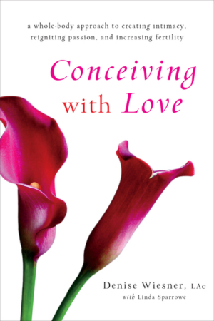 Conceiving with Love: A Whole-Body Approach to Creating Intimacy,