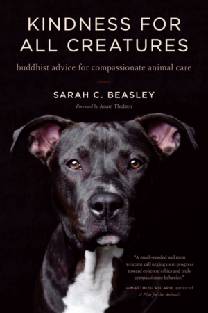 Kindness for All Creatures: Buddhist Advice for Compassionate Anim