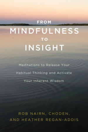 From Mindfulness to Insight: Meditations to Release Your Habitual