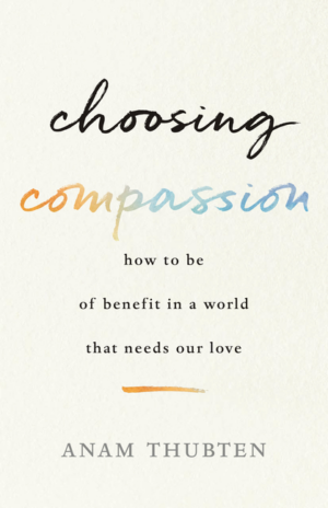 Choosing Compassion : How to Be of Benefit in a World That Needs O