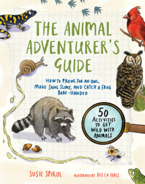 Animal Adventurer's Guide: How to Prowl for an Owl, Make Snail Sli