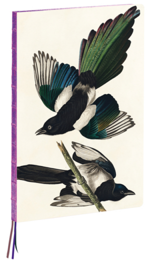 A4 Notebook: Magpies by James Audubon, Hardcover - 230 Dot-Grid Pa