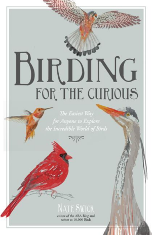 Birding for the Curious: The Easiest Way for Anyone to Explore the