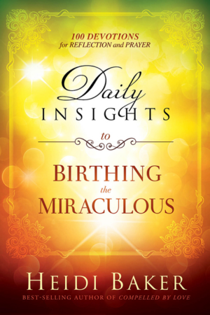 Daily Insights to Birthing the Miraculous: 100 Devotions for Refle