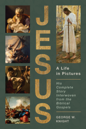 Jesus, a Life in Pictures: His Complete Story Interwoven from the