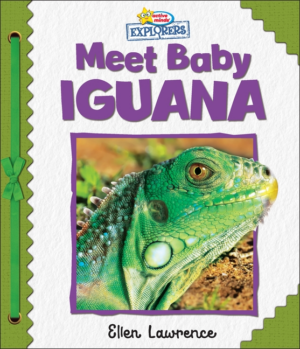 Active Minds Explorers: Meet Baby Iguana (Padded Cover)