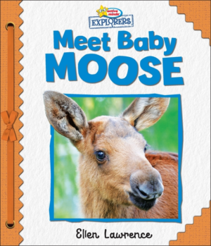 Active Minds Explorers: Meet Baby Moose (Padded Cover)