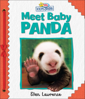 Active Minds Explorers: Meet Baby Panda (Padded Cover)
