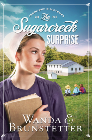 Sugarcreek Surprise: Vol 2