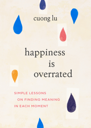 Happiness Is Overrated: Simple Lessons on Finding Meaning in Each