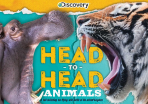 Head-to-Head: Animals: A tail-twitching, fur-flying wild battle of