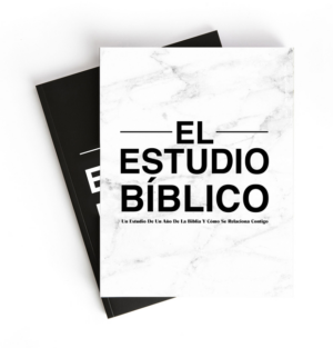 El Estudio Biblico: (2 book set)Sumergete En La Biblia Como Nunca
