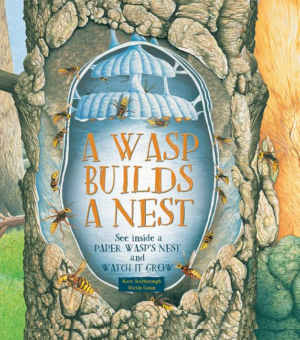 Wasp Builds a Nest: See Inside a Paper Wasp's Nest and Watch It Gr