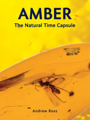 Amber : Natural Time Capsule