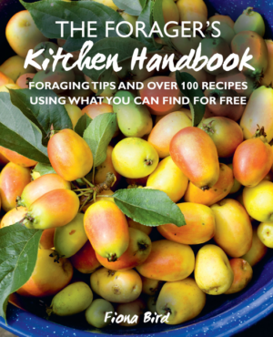 The Forager's Kitchen Handbook: Foraging Tips and Over 100 Recipes