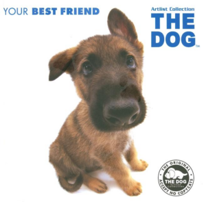 Dog : Your Best Friend